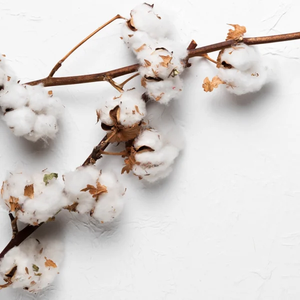 Μπάρα Φυτικού Κεριού - Βαμβάκι - Image 3